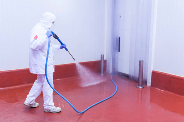 Boat and Dock Cleaning in Portland, MI