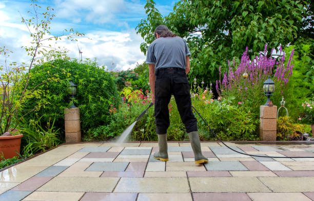 Best Patio and Deck Pressure Washing  in Portland, MI